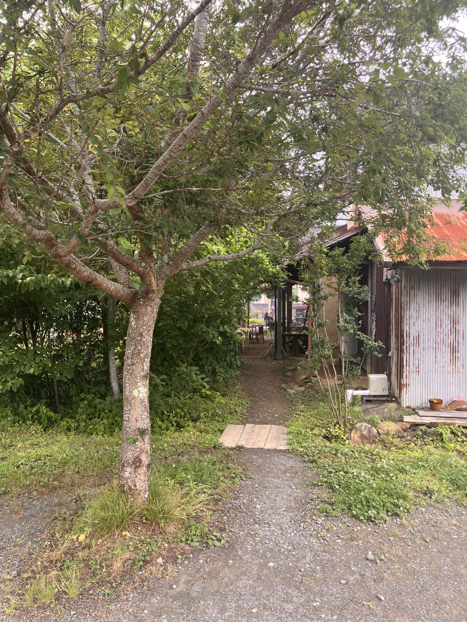 竹松うどん店の外観
