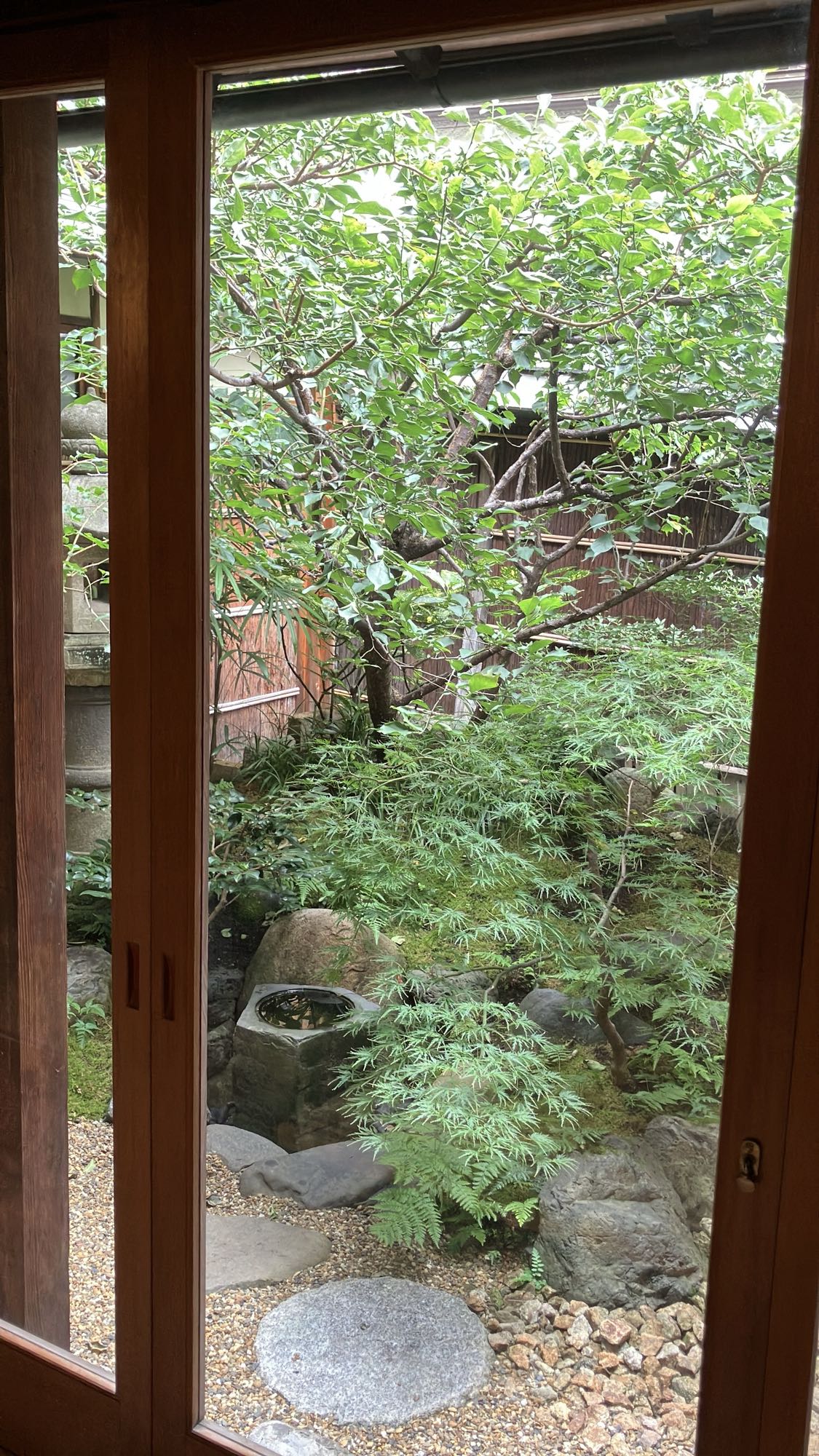 好文舎の窓から見える中庭の緑