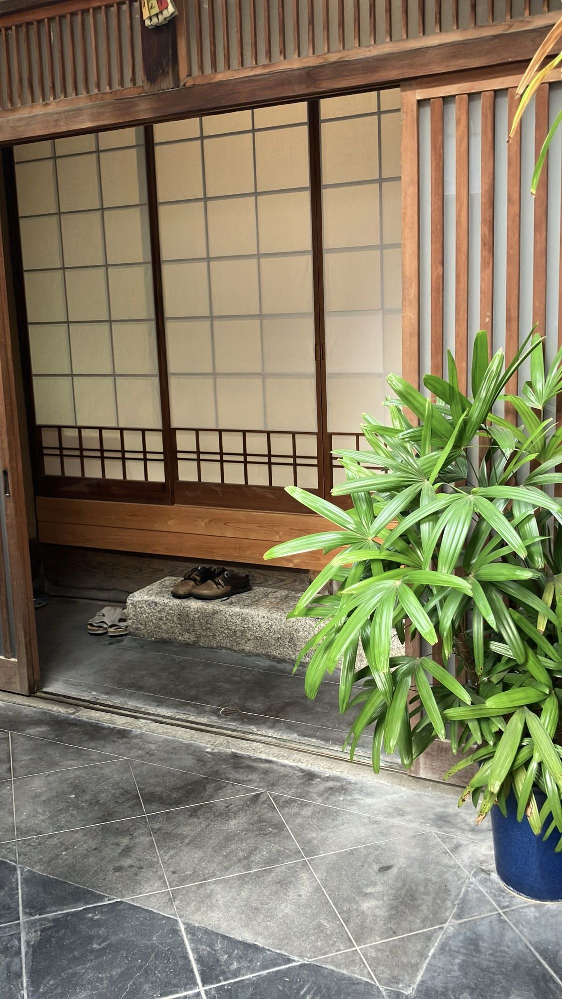 好文舎の玄関から見た畳の部屋と中庭