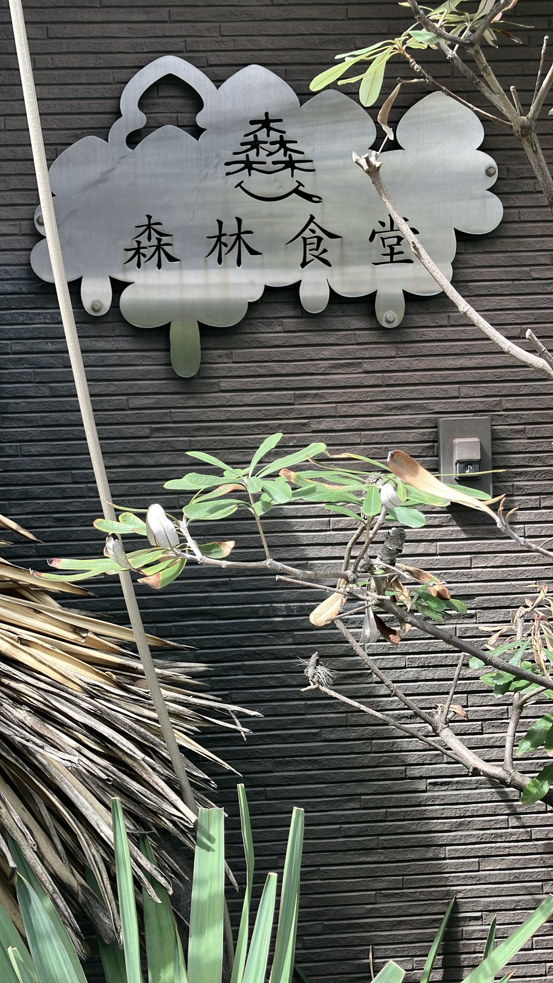 森林食堂の看板
